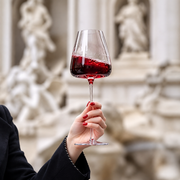 French-Inspired Wine Glass – Elegant Clear Stemware, Classic Red Wine Goblet